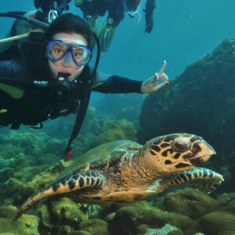 Mergulho em Arraial do Cabo