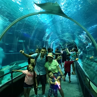 AquaRio + Porto Maravilha + Museu do Amanhã